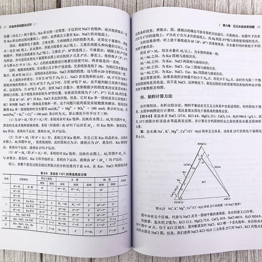 水盐体系相图及应用 第二版 邓天龙 二元至五元水盐体系相图绘制认识相图工艺过程解析水盐体系生产应用实例技术书籍 商品图2