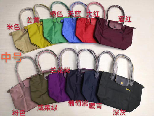 原单法国LongChamp单肩包大号长柄中号长柄刺绣单肩饺子包手提中大包 商品图8