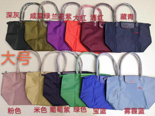 原单法国LongChamp单肩包大号长柄中号长柄刺绣单肩饺子包手提中大包 商品图7