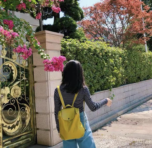 原单法国LongChamp双肩包绣马款折叠手提包龙防水骧包尼龙旅行背包 商品图4