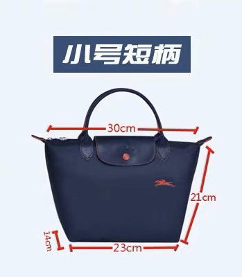 原单法国LongChamp手提包小号短柄刺绣饺子包手提小包 商品图6