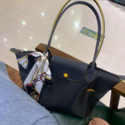 原单法国LongChamp单肩包大号长柄中号长柄刺绣单肩饺子包手提中大包 商品图1