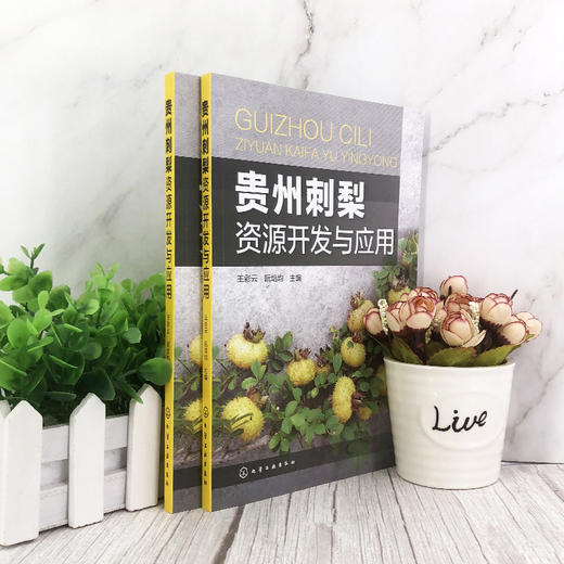贵州刺梨资源开发与应用 刺梨品种改良技术良种繁殖技术刺梨组织培养刺梨栽培技术刺梨病虫害防治刺梨采收及加工 刺梨开发应用书籍 商品图2