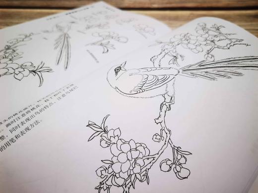 美术入门基础教程 白描起步 画画自学零基础手绘书籍 工笔画 画册画集 初学者中国画技法艺术临摹书 中国画论教学画 原画教材 商品图3