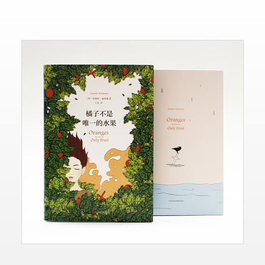 橘子不是唯一的水果 中文版珍妮特温特森著 张悦然蒋方舟任晓雯刘瑜外国现当代青春励志小说 商品图2