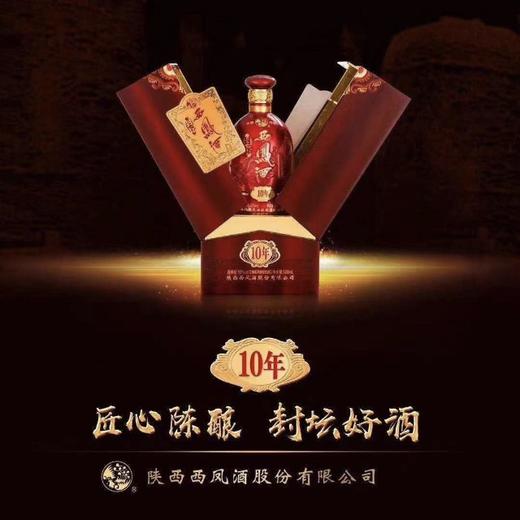 西凤酒封坛系列10年 商品图0