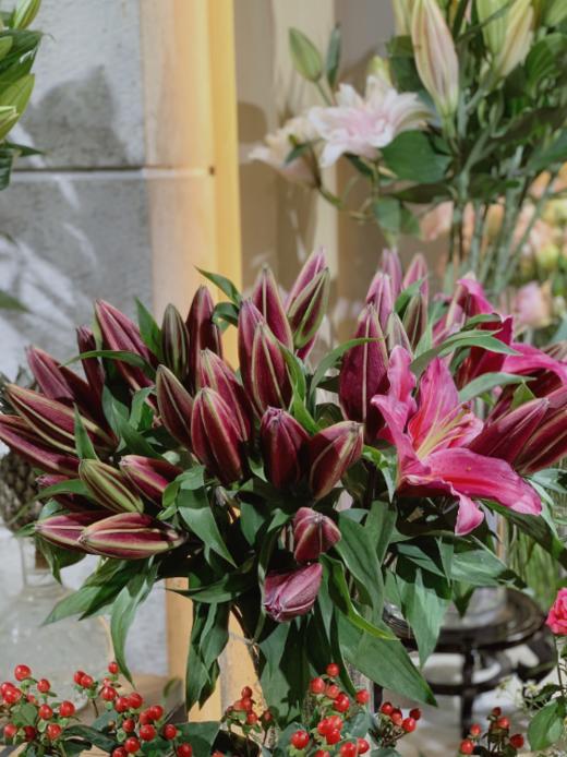 【周四团购】5枝黑天使49.9元 2人拼团 商品图1