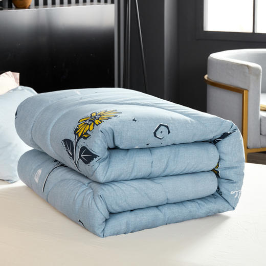 惠慈家居 德芙薰衣草被 羽丝棉薰衣草棉被 花香一室 150*200/200*230 两种规格可选 商品图0