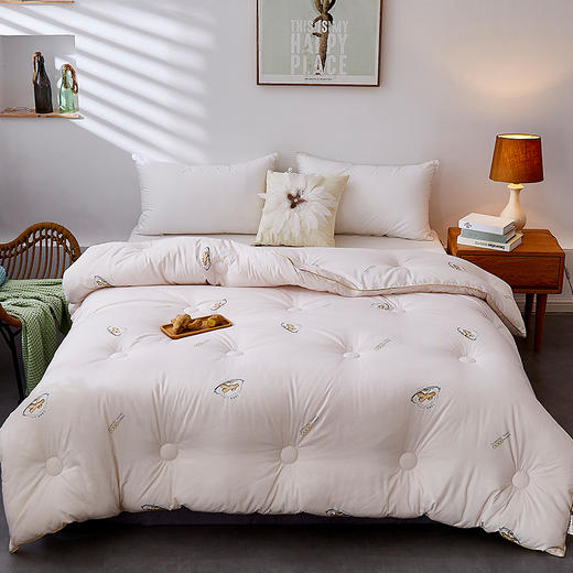 惠慈家居 生姜祛寒被 含生姜精华 冬天不惧严寒 羽丝棉被 3kg（200*230cm）2028-6 商品图0