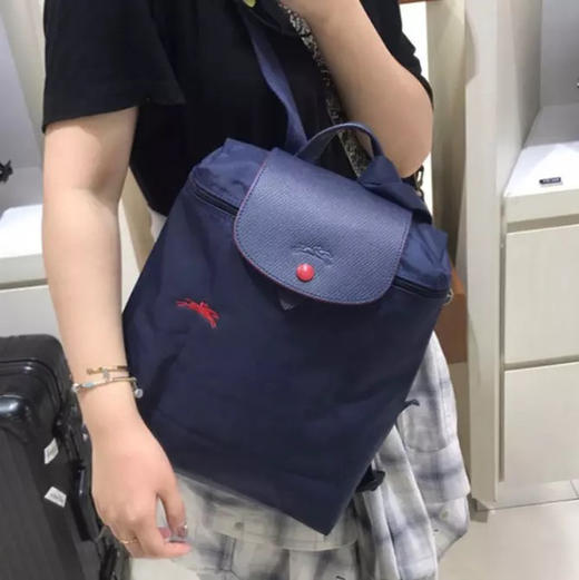 原单法国LongChamp双肩包绣马款折叠手提包龙防水骧包尼龙旅行背包 商品图1