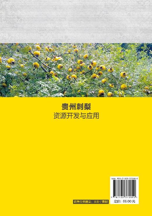 贵州刺梨资源开发与应用 刺梨品种改良技术良种繁殖技术刺梨组织培养刺梨栽培技术刺梨病虫害防治刺梨采收及加工 刺梨开发应用书籍 商品图1