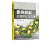贵州刺梨资源开发与应用 刺梨品种改良技术良种繁殖技术刺梨组织培养刺梨栽培技术刺梨病虫害防治刺梨采收及加工 刺梨开发应用书籍 商品缩略图5