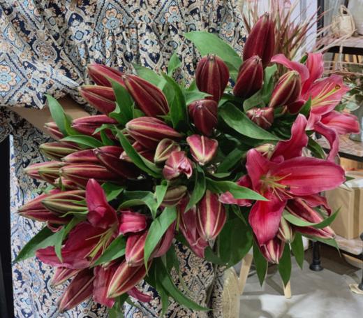 【周四团购】5枝黑天使49.9元 2人拼团 商品图0