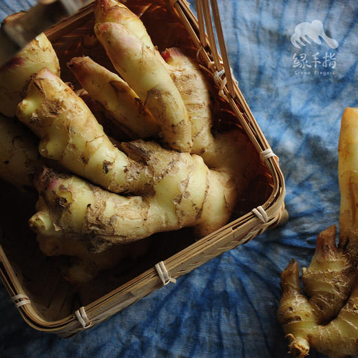 生态蟠桃大姜| 合作生产*Eco-Pantao Ginger | Coproduction 商品图3