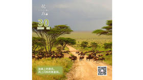 【花丘•心语】