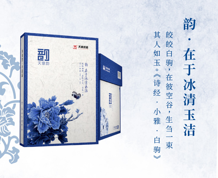 天章韵70g A4复印纸打印纸 500张/包 5包/箱(2500张)