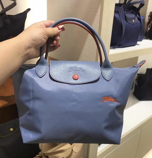 原单法国LongChamp手提包小号短柄刺绣饺子包手提小包 商品图5