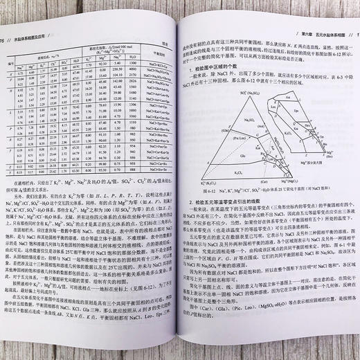 水盐体系相图及应用 第二版 邓天龙 二元至五元水盐体系相图绘制认识相图工艺过程解析水盐体系生产应用实例技术书籍 商品图3