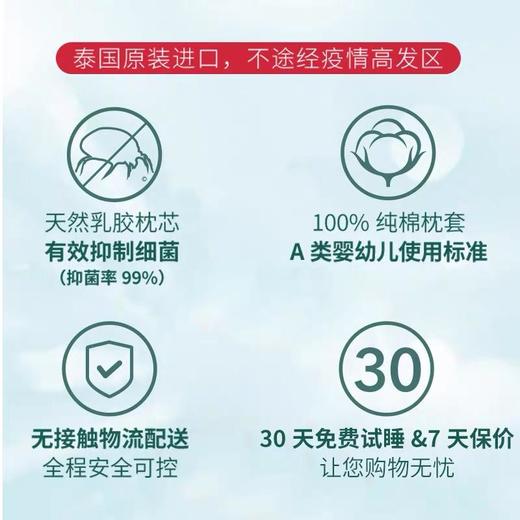 1-6岁儿童乳胶枕，丁香医生联名款 商品图2