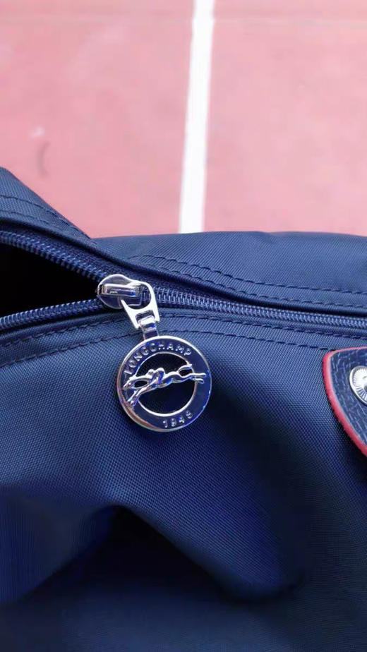 原单法国LongChamp双肩包绣马款折叠手提包龙防水骧包尼龙旅行背包 商品图9