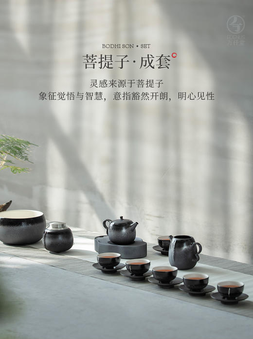 菩提子·成套 商品图0