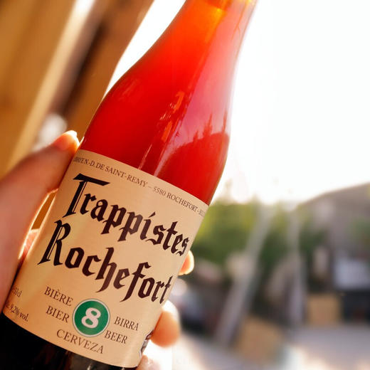 罗斯福8号啤酒330ml/1瓶/6瓶/24瓶整箱 商品图2