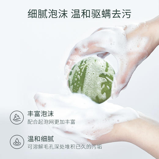 【每盒送起泡网】艾茜净肤除螨苦参皂，艾叶除菌，苦参净螨，植物提取，温和不刺激 商品图2
