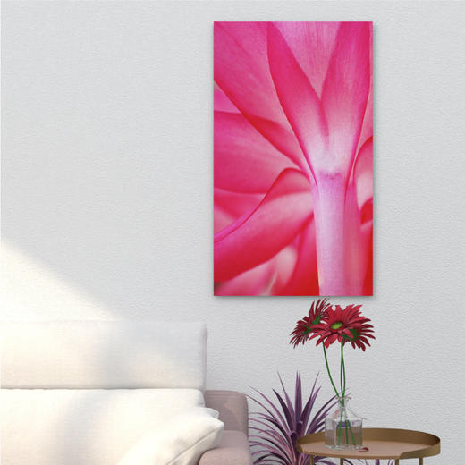 懂窝｜红花 Safflower 装饰画 Picture 商品图1