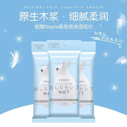 PP贵族便携式湿巾 厕纸清洁 12片 商品图0