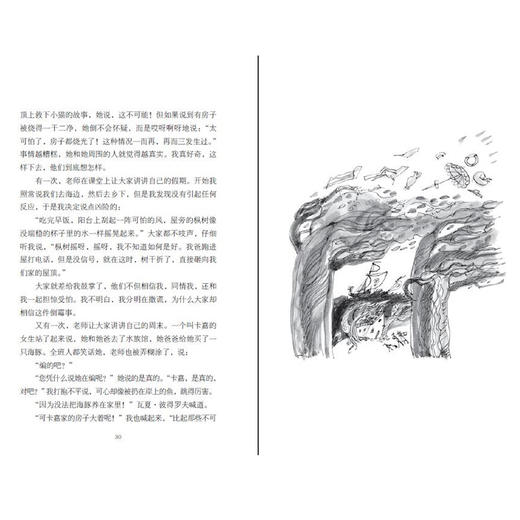 乘降落伞的狼 商品图3