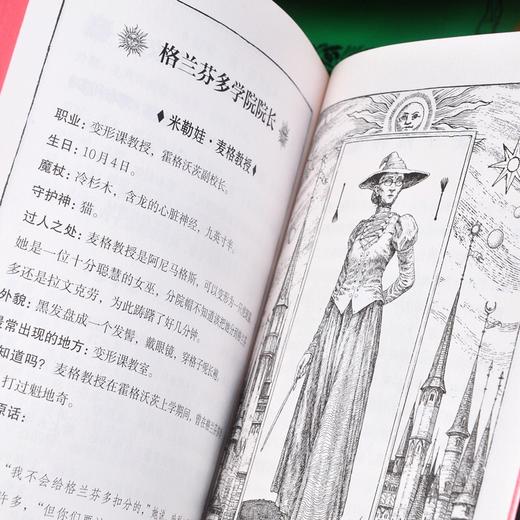 《哈利波特与魔法石》(20周年学院纪念版) 商品图7