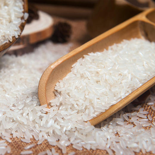 （美团专属）中粮福临门泰玉香一品茉莉香米5kg 商品图1