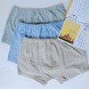 RD022(二枚组)男式莱卡棉平角裤（混色） 商品缩略图2