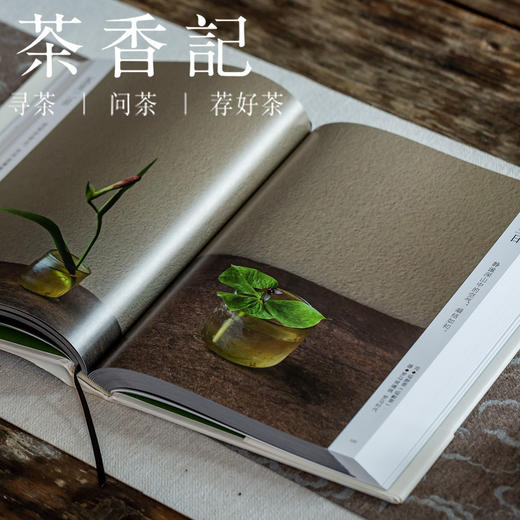 茶香记 《一日一花》  川濑敏郎  日本花道  四季之美  生活美学  宁静雅致 商品图1