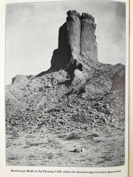 罗伊·查普曼·安德鲁斯《追寻古人的足迹》 配照片插图 精装大32开 商品图11