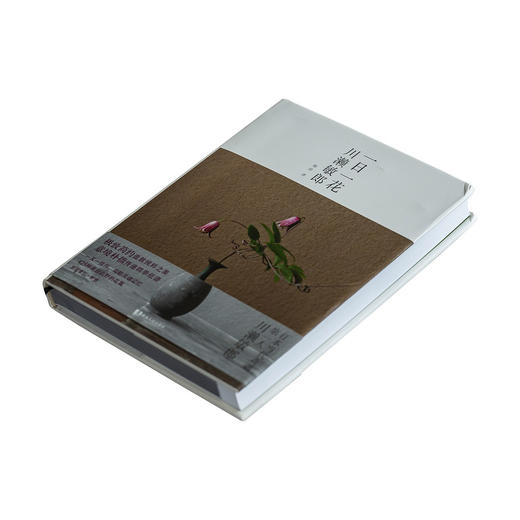 茶香记 《一日一花》  川濑敏郎  日本花道  四季之美  生活美学  宁静雅致 商品图4