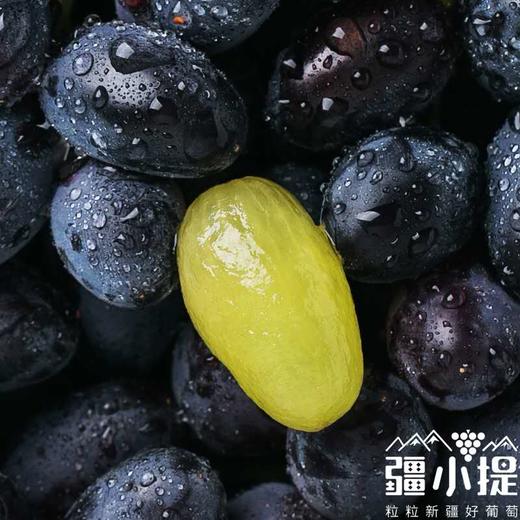新疆黑美人葡萄4斤/件 新疆哈密产区 清甜无籽葡萄 新疆葡萄美食 商品图2