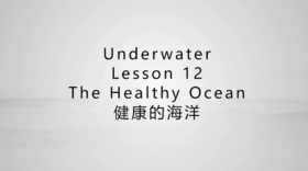 健康的海洋