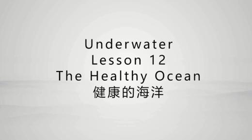 健康的海洋 商品图0