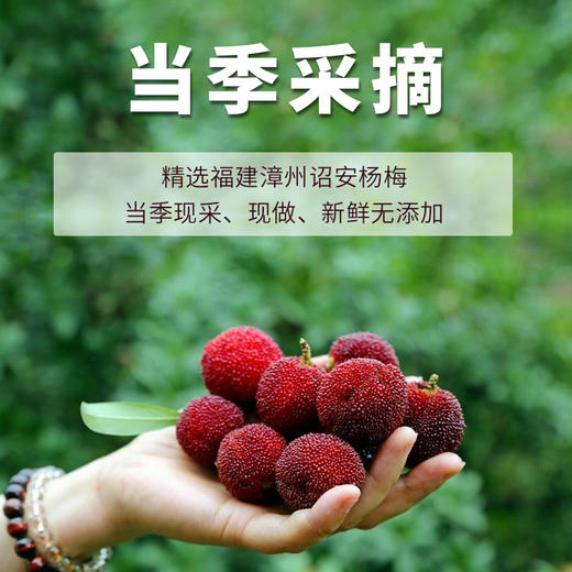 【掌柜好物】盐津杨梅干  现摘新鲜食材炼制，清甜微酸自然果香，每一颗都是精挑细选，一口一个大满足 商品图2