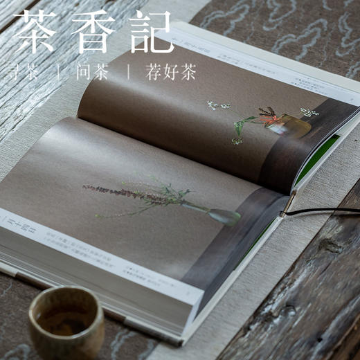 茶香记 《一日一花》  川濑敏郎  日本花道  四季之美  生活美学  宁静雅致 商品图3