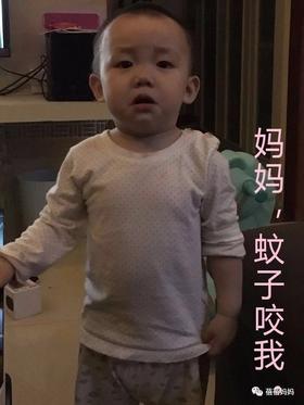  【注意】蓓妈告诉你们如何防蚊？ 