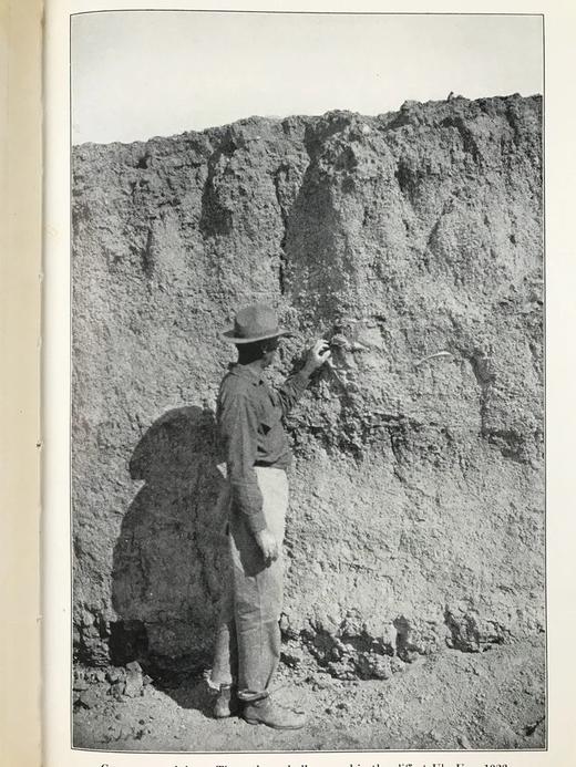 罗伊·查普曼·安德鲁斯《追寻古人的足迹》 配照片插图 精装大32开 商品图10