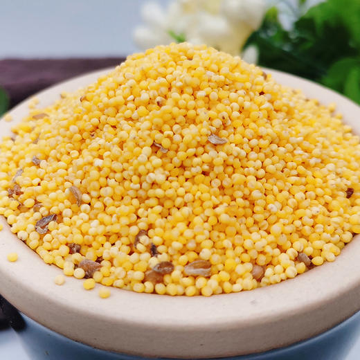 【苦荞黄小米】苦荞和小米营养搭配 五谷杂粮 石碾低温碾压 吃出小