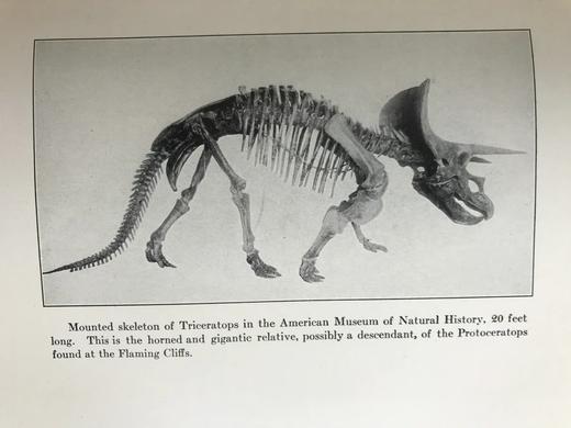 罗伊·查普曼·安德鲁斯《追寻古人的足迹》 配照片插图 精装大32开 商品图8