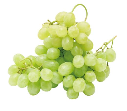 马奶青提500g±50g 商品图1