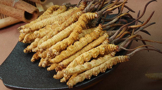 东阳光冬虫夏草，吃得起的好虫草 商品图0