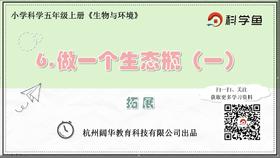 5.1.6《做一个生态瓶（一）》拓展延伸课程