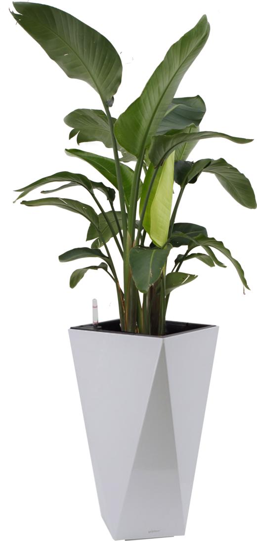 碧海青天03 商品图0