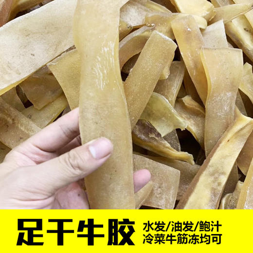 足干牛胶，500克起订，一斤发5斤，水发/油发均可/鲍汁/冷菜冻类口味均可。 商品图4